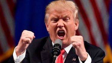 escandalo en ee.uu.: trump tiene deudas millonarias por no pagar impuestos