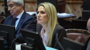 diputadas radicales rechazaron el proyecto de losada sobre falsas denuncias en casos de violencia de genero