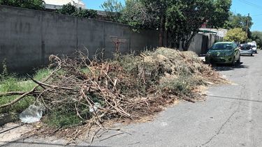 Las ramas y árboles caídos fueron acumulados en las calles.