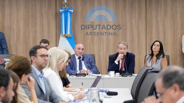 Debate. En el plenario de comisiones de diputados de la nación.