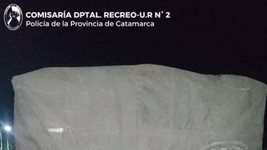 secuestraron 17 toneladas de lena en la paz