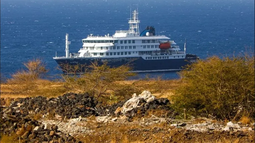 Confirman que el brote de hantavirus en un crucero es de cepa transmisible entre humanos