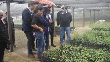Corpacci inauguró un vivero