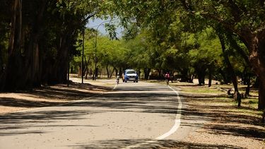 Catamarca registró 39 casos positivos y 17 recuperados