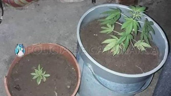 Allanan tres viviendas en el sur y secuestran cocaína y $30.000