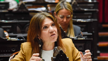 El objetivo es garantizar la detección y diagnóstico precoz, atención y tratamiento, y el acceso a la educación de las infancias y adolescencias.
