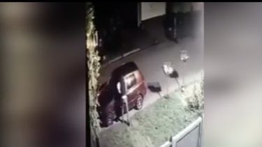 En un intento de robo mataron a una nena de 12 años frente a sus padres