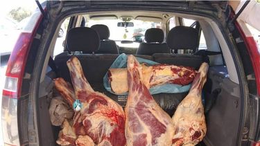 Secuestran 500 kilos de carne vacuna en tres operativos