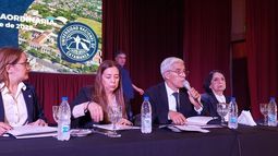 Cambios en pausa. La reforma del estatuto de la UNCA no obtuvo el consenso necesario en la asamblea.