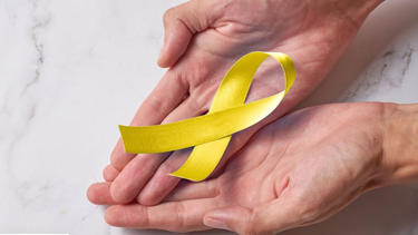 jornada de prevencion del suicidio