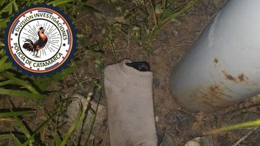 Arrestado por el robo de un celular