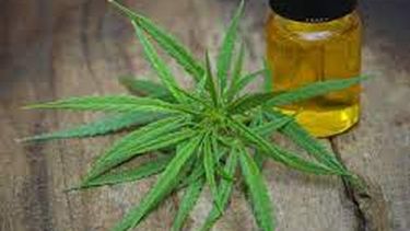 Lo sorprenden con bochitas y semillas de marihuana
