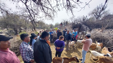 se llevaron a cabo jornadas caprinas en navaguin- ancasti