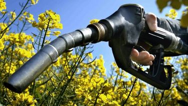 El Gobierno fijó un nuevo aumento en los precios de los biocombustibles