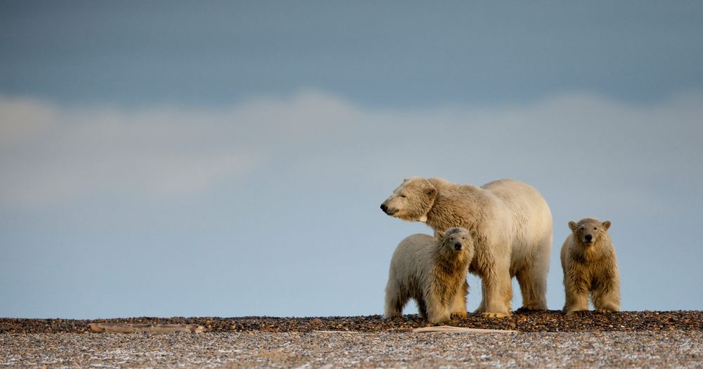 ONU advierte sobre el cambio climático