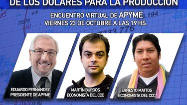 charla: ?ahorro nacional y administracion de los dolares para la produccion?