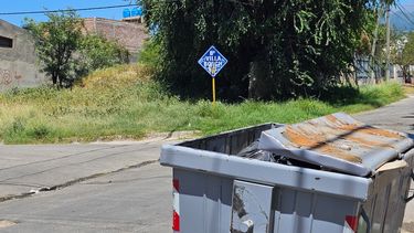 Denuncian matanza de mascotas en el barrio Villa Bosch