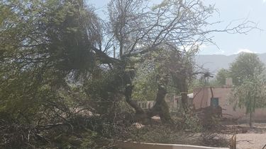 Viento zonda en Tinogasta y Fiambalá
