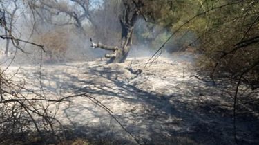 Controlan incendio forestal en Valle Viejo
