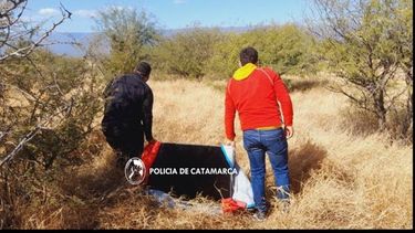 un arrestado por el robo de un celular y un televisor en el sur