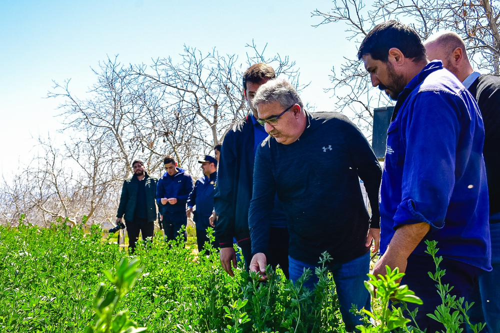Productores de Siján, Rincón y Mutquín recibieron sistemas de riego&nbsp;