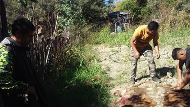 Se robaron una vaca y la faenaron en el fondo de su casa