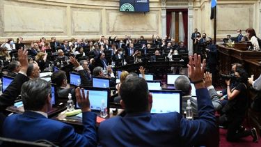 Senadores del Frente de Todos presentaron proyecto para pagar deuda.
