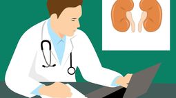 Acciones para el cuidado de la salud renal