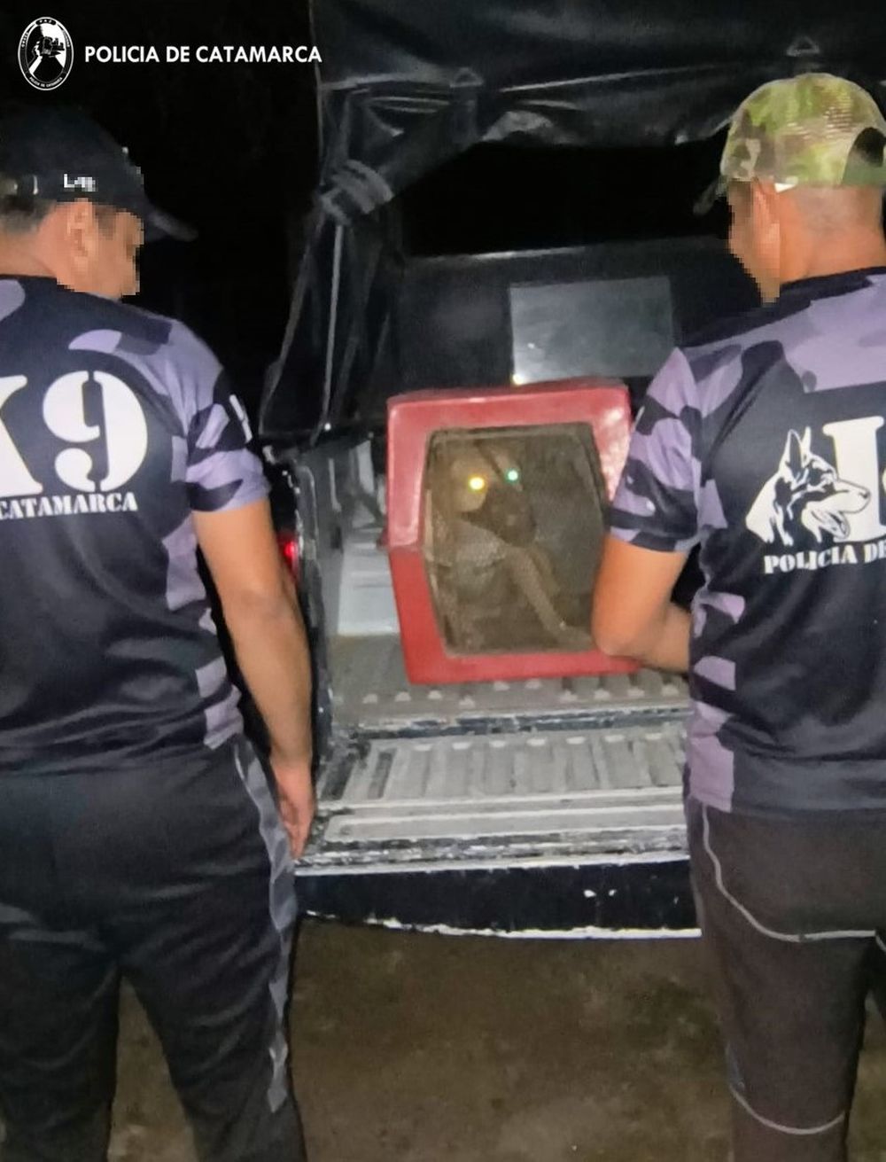 División Investigaciones - División Canes