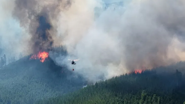 el feroz incendio en chubut destruyo 10 viviendas y obligo a evacuar a 700 personas