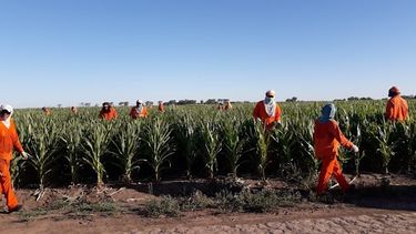 piden procesar a directivos de una empresa por explotar a 237 trabajadores