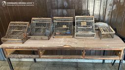 Policías recuperaron y liberaron aves silvestres Policías recuperaron y liberaron aves silvestres