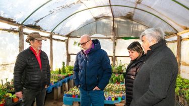 Visita. A un productor de Icaño.