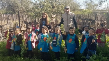 Promueven el desarrollo de huertas ecológicas