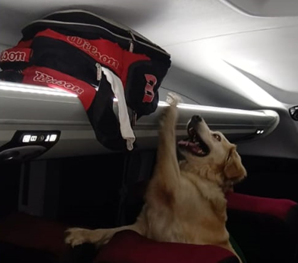 Laika. Junto a personal de la División Canes de la Policía.&nbsp;