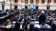 diputados dio media sancion a la ley de emergencia en discapacidad