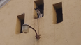 policias y bomberos rescataron a un gato atrapado en la chimenea de una escuela policias y bomberos rescataron a un gato atrapado en la chimenea de una escuela