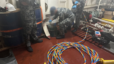 Oficiales de la Policía Federal Australiana secuestraron más de 800 kilos de cocaína.