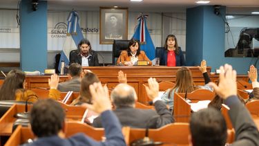 El Senado convirtió  en ley la Emergencia Económica
