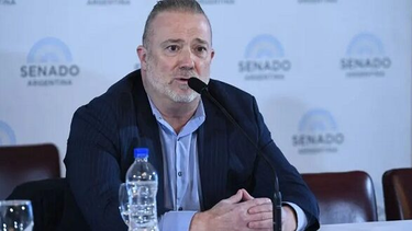 andres gil dominguez afirma que el decreto firmando por milei es inconstitucional