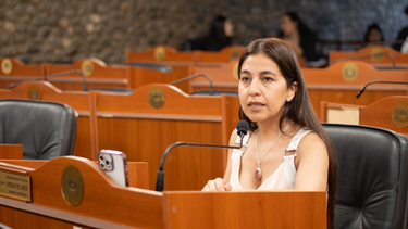 Senadora por Paclín Virginia Del Arco