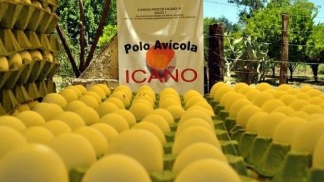Denuncian apriete por críticas al Polo Avícola de Icaño