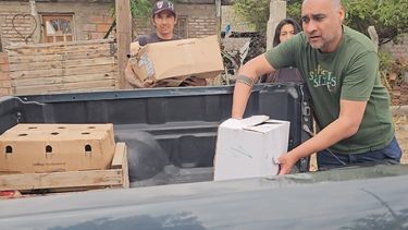 valle viejo: rescataron a mas de 20 gallos de rina