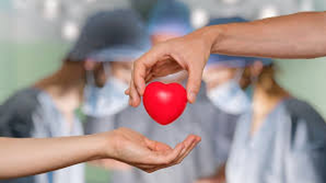 Día Nacional de la Donación de Órganos: por qué se conmemora el 30 de mayo