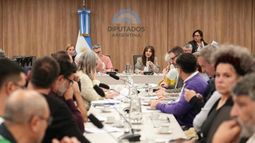 Rechazo a las políticas del Gobierno en la Comisión de Cultura de Diputados