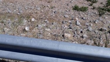 Trágico accidente en la ruta 40