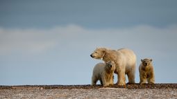ONU advierte sobre el cambio climático