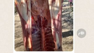 Policías perdieron carne secuestrada