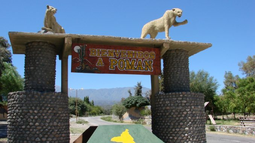 Denuncian falta de transparencia y evalúan un juicio político al intendente de Pomán Denuncian falta de transparencia y evalúan un juicio político al intendente de Pomán