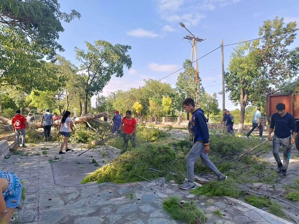 Daños. La Plaza Central y alrededores, copados de ramas de arboles.